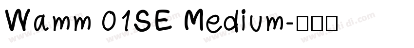 Wamm 01SE Medium字体转换